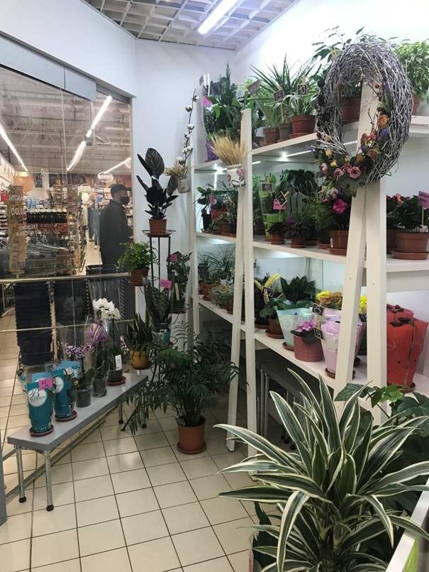 Продам цветочный магазин в Виталюре